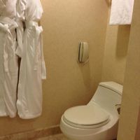 シャワールーム隣のトイレ