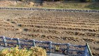 錦帯橋周辺の絶景ポイントはここ！