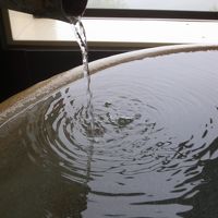 濁り湯です。日によって濁り具合が変化するそうです。