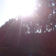 気持ちの良い場所です。