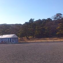 開けた場所です。