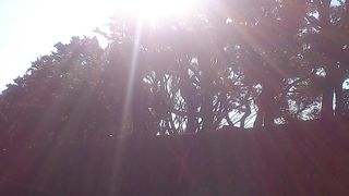 解放感のある公園です。