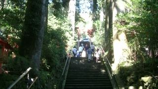 縁結びの九頭竜神社も鎮座されています