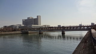 フォトジェニックな光景