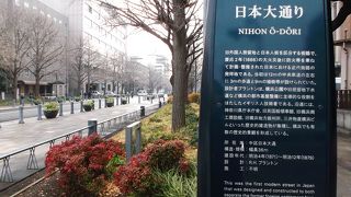 官庁街ストリート・銀杏並木とイルミネーション見どころ