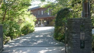 様々な植物を観察しながら散策