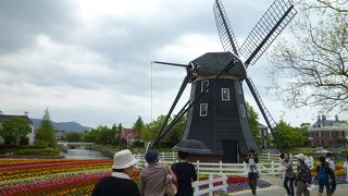 入園料も高く、食べ物もイマイチ・・・
