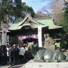 願掛け牛の顔を触ると御利益が