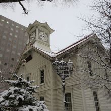 雪が良く似合います