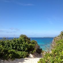 砂山の上から見た海