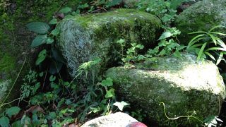 猫好きにはたまらない癒しのスポット