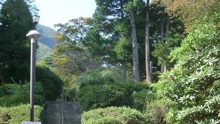 大正3年に開園した歴史ある公園