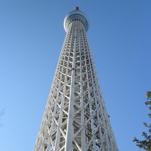 上品さを感じます