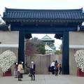 大阪城 菊の祭典