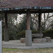 ベンチもあります。