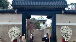大阪城 菊の祭典