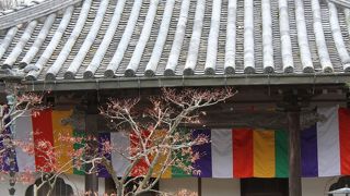 兵庫県西宮市　寺　「浄橋寺」