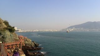 乙淑島自然生態コースに参加して来ました