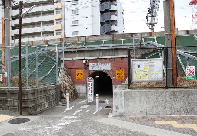 兵庫県西宮市　観光　「マンボウトンネル」