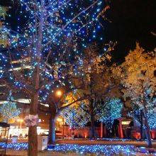 御堂筋イルミネーション１