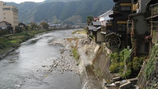 鯉が泳いでいます