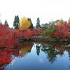 永観堂 (禅林寺)