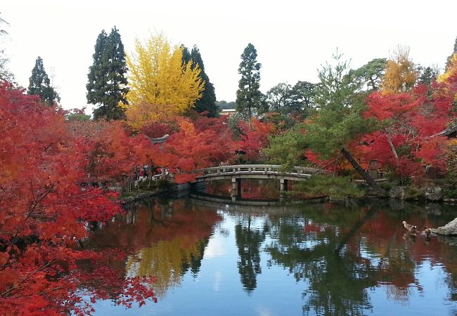 永観堂 (禅林寺)