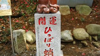 以前は柵などなかったが・・・