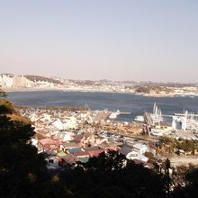 陸側を見ました