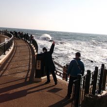波が静かだったら、海岸で遊びます