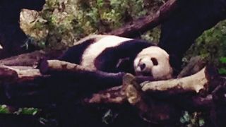 MRTで簡単に行ける動物園