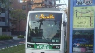 芝生の上を走る