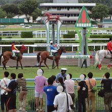 小倉２歳Ｓ　本馬場入場