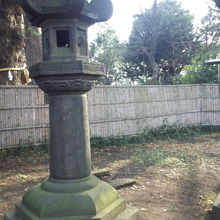 向かい側　牡丹園や寒椿　お正月の果実の木と共に取った写真が消