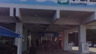 海中公園は、透明度の高い冬がお薦め