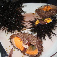 生きたウニです。切ったあとも動いています。