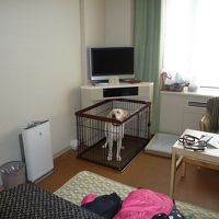 ペット同室客室