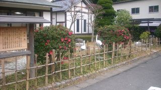 庭園が見える露天風呂