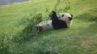 絶対おすすめ！入園料高いだけあります。