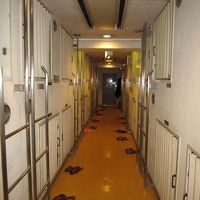 実際は写真よりかなり古め