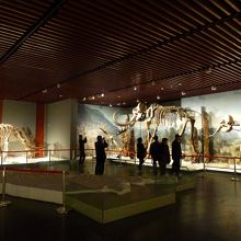 こんな展示から始まる