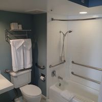 シャワーは可動式