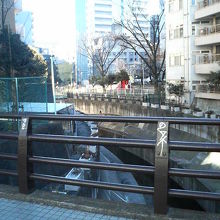 ビルの谷間を流れる細い川が見下ろせます。