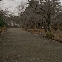 散策にも向いています。