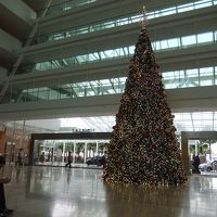 クリスマスシーズンはフロント前にクリスマスツリーも