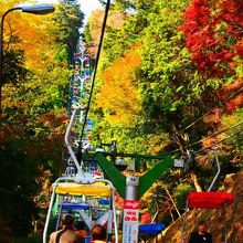 ロープウェイからの眺め