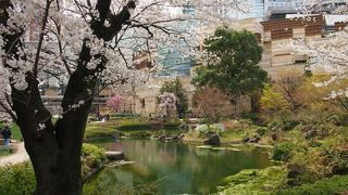 六本木で桜を見るなら