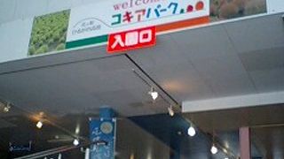 子供連れに便利なスキー場！