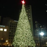 サンフランシスコ・ユニオン・スクエアのクリスマス・ツリー