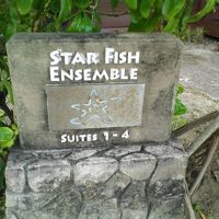 部屋はスターフィッシュ(ヒトデ)のビラ